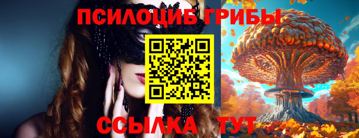 Галлюциногенные грибы Psilocybine cubensis  Галлюциногенные грибы Magic Shrooms  Усть-Илимск  Вход с VPN 